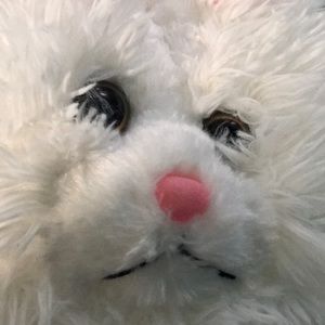 Meet your Posher, Sam